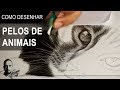 Vídeo Aula - Como desenhar pelos || Charles Laveso