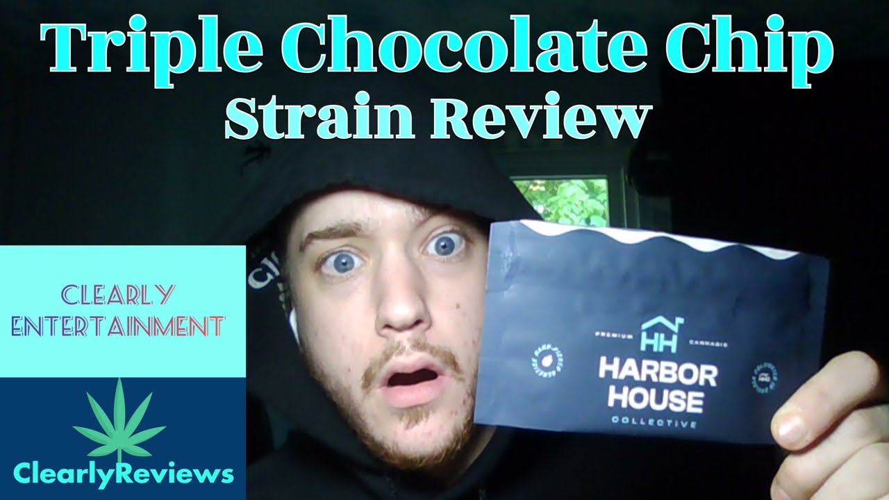 Triple Chocolate Chip By 