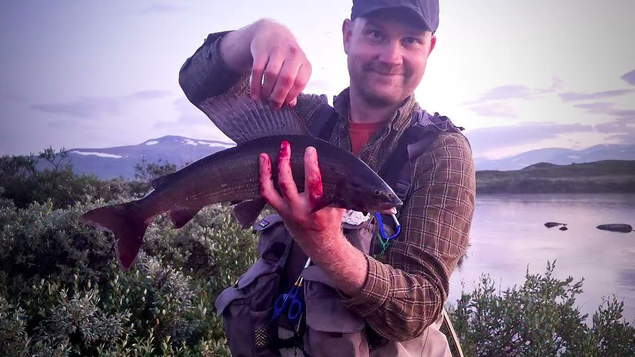 A week of hiking and fly fishing in Lapland