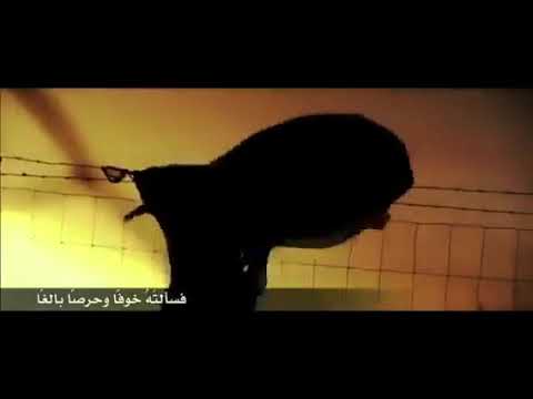 نشيد فتن تموج عبدالله المهداوي