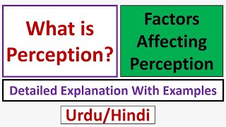 What is Perception Factors Affecting Perception-Urdu/Hindi