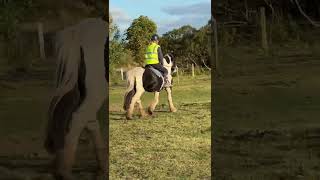 Advert reference -385041