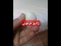 زائبق فرعوني