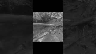 Flash flood on Ruby’s Creek