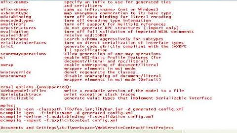 JAVA Web Services JAX RPC SI contract last approach example