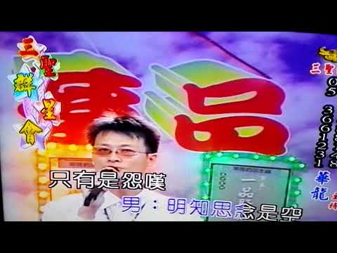 夢中情網