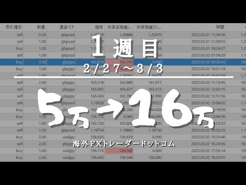 【1週目】海外FX入金5万→16万5,000円