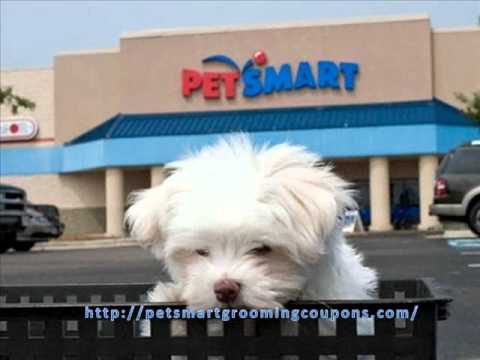 Petsmart Grooming Coupons