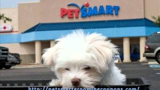 Petsmart Grooming Coupons