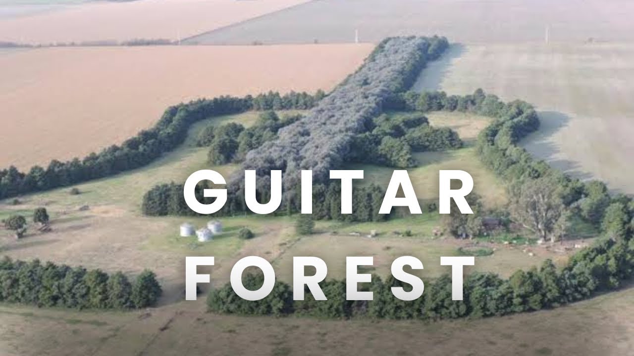 The Guitar Forest is a guitar-shaped forest in the Pampas region of Argentina.