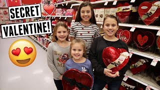 Secret Valentine Surprise $20 Budget Shopping Challenge!