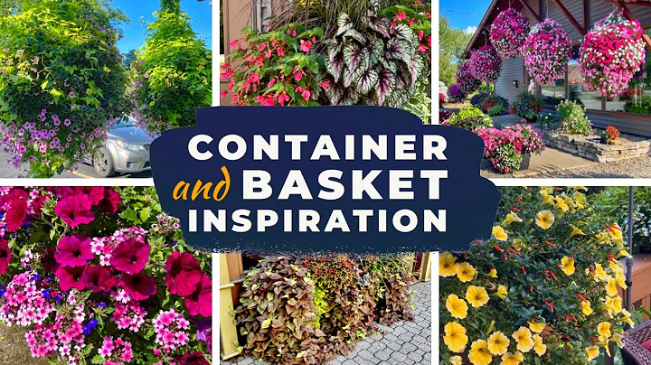 Inspiration for Your Baskets and Containers