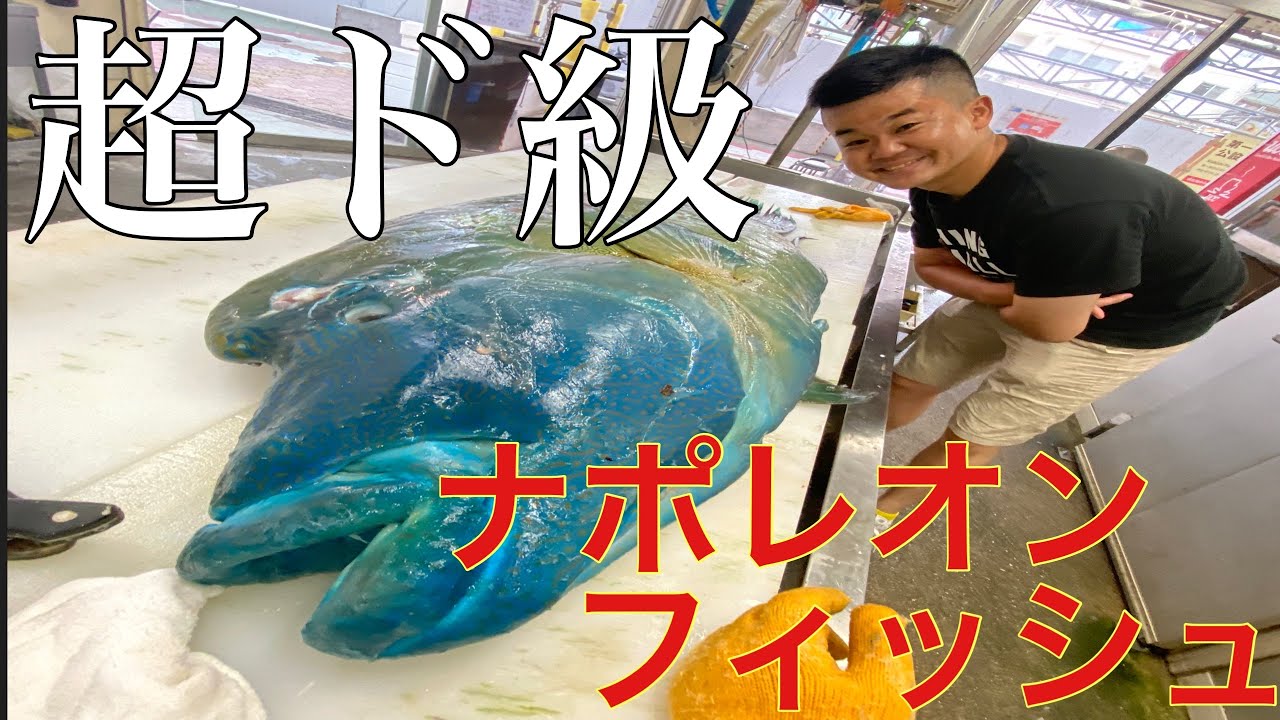 超巨大魚 ナポレオンフィッシュをさばく Youtube