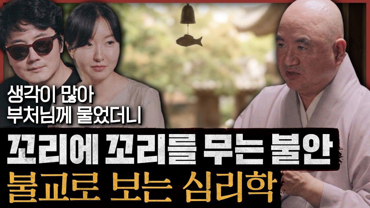 불교의 '선'으로 되찾는 내면의 평화, 번뇌가 사라지는 사유의 기술 : 생각이 많아 부처님께 물었더니 특별편(feat.성진 스님)