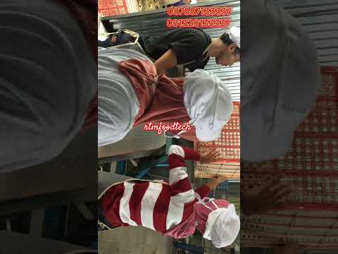 mesin pencuci Singkong otomatis