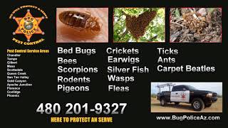 Bug Police Pest Control / Exterminator- Arizona