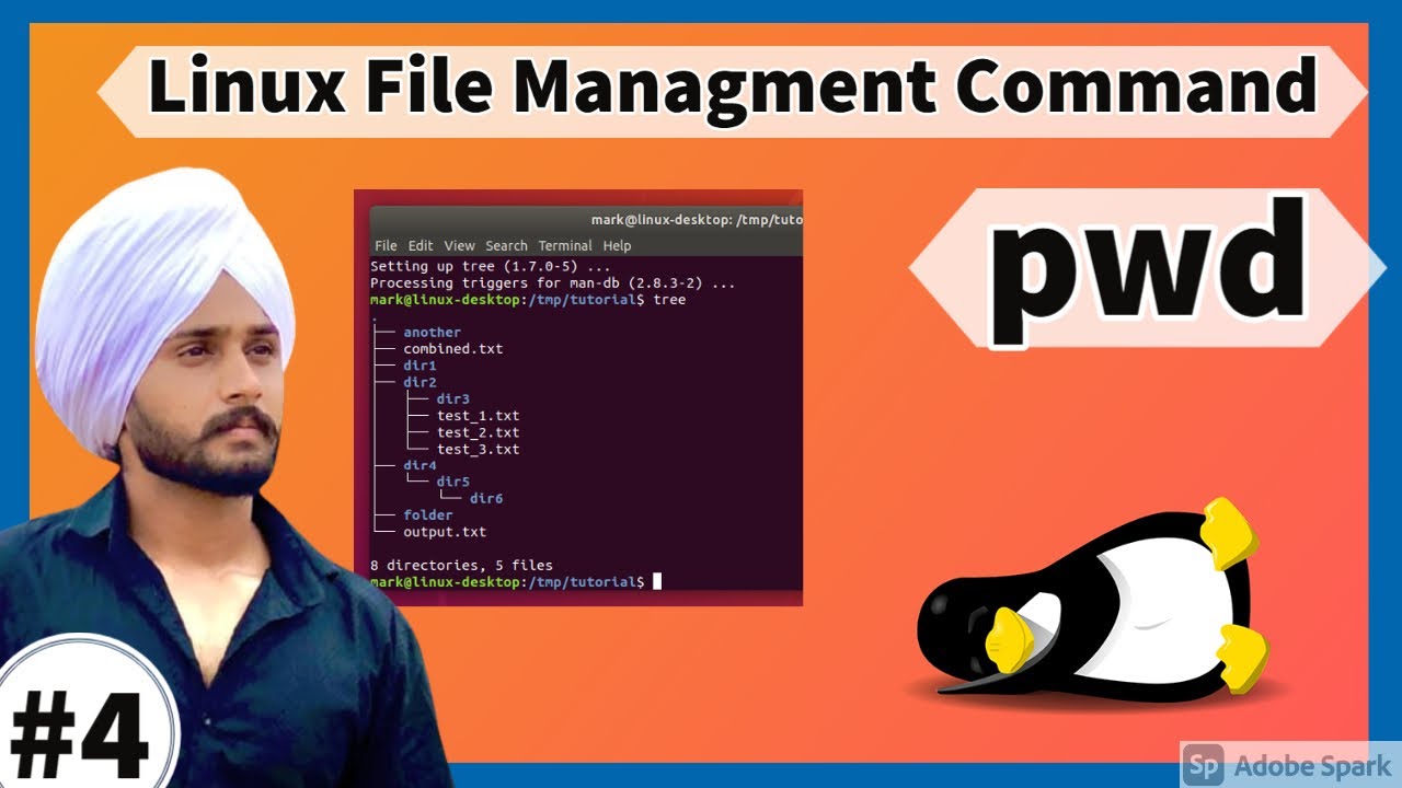 Management commands. RM Linux.