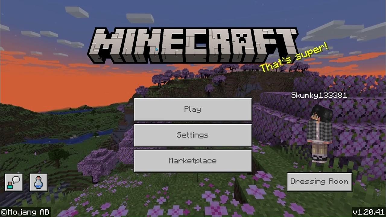 How to get worldedit in Minecraft (Bedrock Edition) SkunkyTheGamer