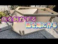 【特大テラリウム庭池作り】①庭に池新設
