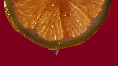 Close Up Macro Shot Of A Slice Of A Lemon Stock Video