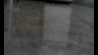 rebolation.avi