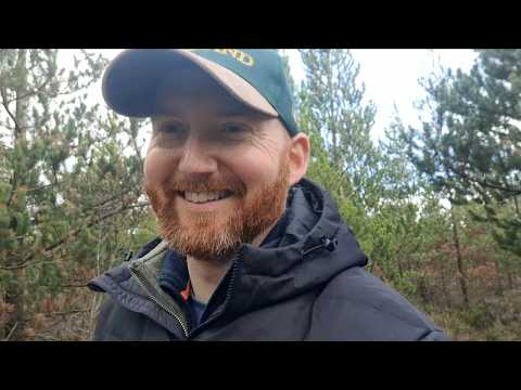 20 Years on YouTube