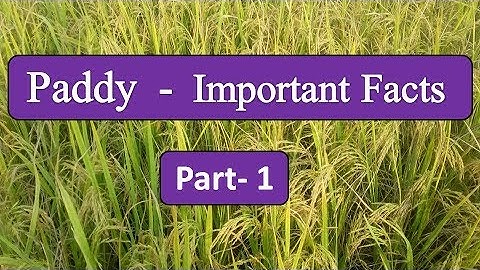 Paddy -Important Facts Part-1 FOR IBPS AFO MAINS AND ALL AGRICULTURAL GOVT. EXAMS