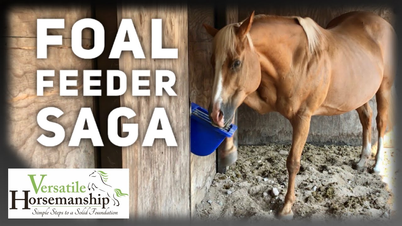 THE FOAL FEEDER SAGA! // Versatile Horsemanship