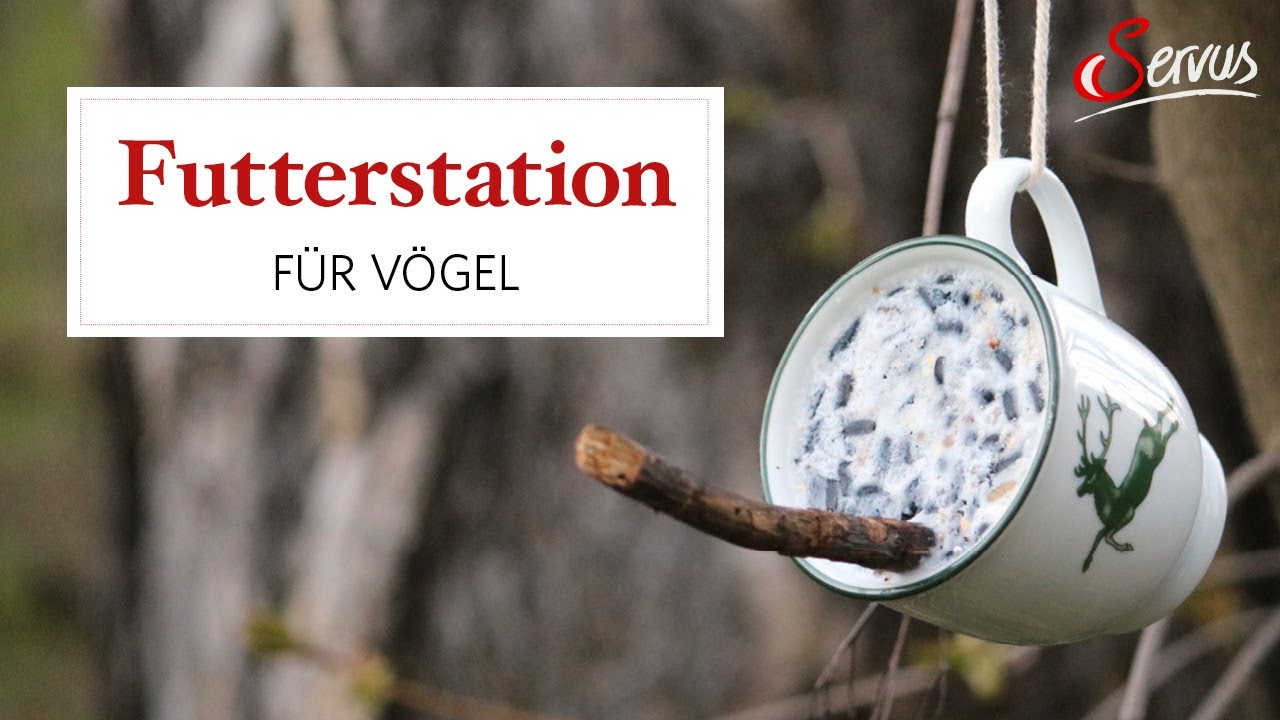 Vogelfutterstation aus alter Teetasse