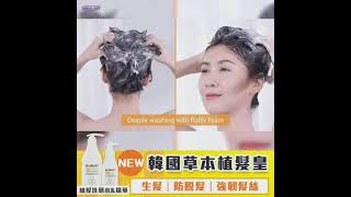 韓國Dr. Graft 孕育洗頭水+精華素 DR GRAFT Drgraft Anti Hair Loss Shampoo & Conditioner : 4 | deerbydeer.com