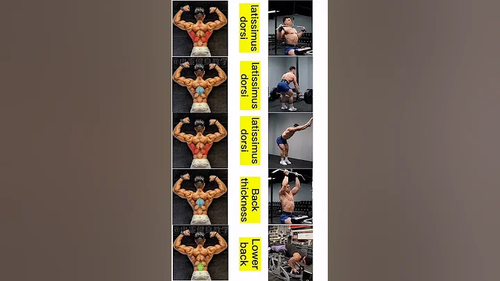 The PERFECT Back Workout (Sets and Reps Included) #shorts
