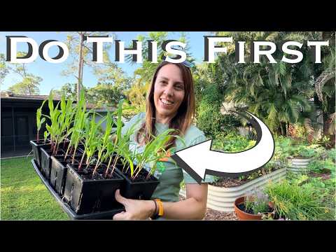 What to Do NOW for Your Florida Fall Garden