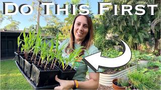 What to Do NOW for Your Florida Fall Garden
