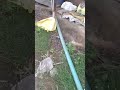 #solar Rhino solar VFD with 1 HP pump installation Real Video | #rhinosolar #solarvfd
