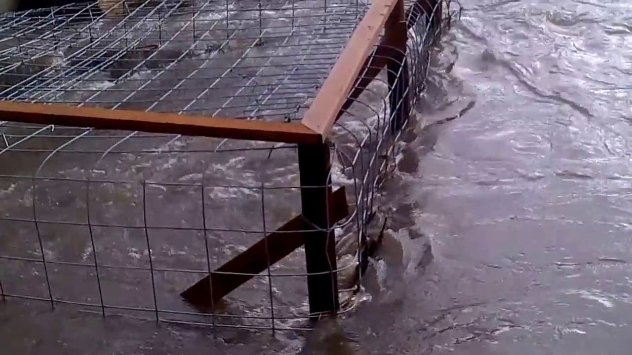 Beaver Deceiver YouTube