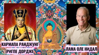 видео: Лама Оле Нидал рассказывает о 16 Гьялва Кармапе, Рангджунг Ригпе Дордже. УЛУЧШЕН ЗВУК!!! картинка: Лама Оле Нидал рассказывает о 16 Гьялва Кармапе, Рангджунг Ригпе Дордже. УЛУЧШЕН ЗВУК!!!