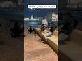 ظهور سترعجوزه في المقطم      كوميديات اكسبلور