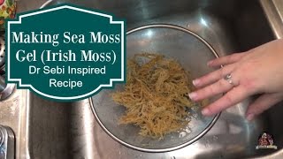 HOW TO MAKE SEAMOSS GEL | THE ELECTRIC CUPBOARD