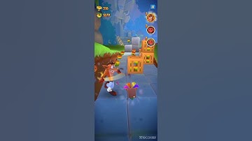 Crash Badicoot:On the Run! Survival run bug -turtle woods