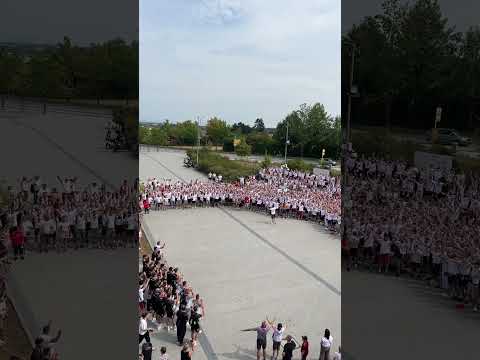 JAHN REGENSBURG ALLEZ ❤️‍🔥 #fans #jahnregensburg #3liga
