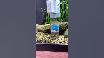 Thiết Bị Thay Nước Bể Cá Yee Công Suất Lớn, Sử Dụng Đơn Giản #beca #vesinhbeca #cacanh