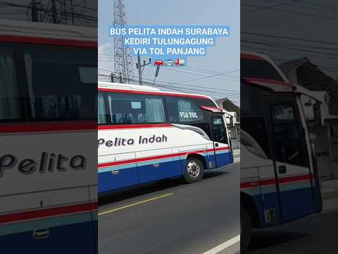 Pelita Indah Pariwisata: Menjelajah Indonesia dengan Kenyamanan dan Kemewahan