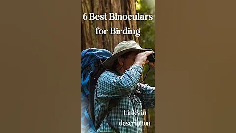 6 Best Binoculars for Birding #binocular #binoculars #birds #birdwatching #birdlovers