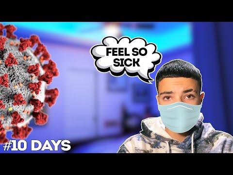 WE HAD TO ISOLATE FOR 10 DAYS! | The Andres