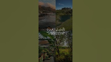الذي خلقني فهو يهدين و الذي هو يطعمني و يسقين من سورة الشعراء بصوت الشيخ محمد اللحيدان