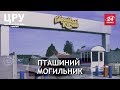 "Гаврилівські курчата": що насправді стоїть за успішним брендом