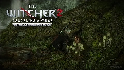 The Witcher 2: Assassins of Kings -  Where is Triss Merigold  - Chapter 1