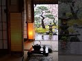 Zen Garden &amp; Tea ❄️ Piano Sounds for Sleep, Study &amp; Calm #shorts