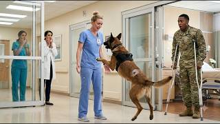 She Worked as a QUIET NURSE for Years — Until a MILITARY K9 Recognized Her