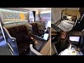Singapore Airlines First Class 777 Singapore to Tokyo Haneda